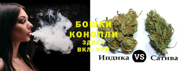 молекула духа Лагань