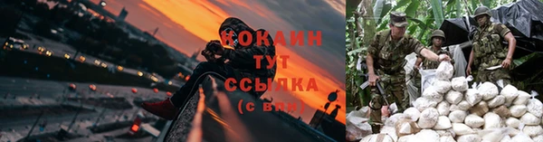 молекула духа Лагань