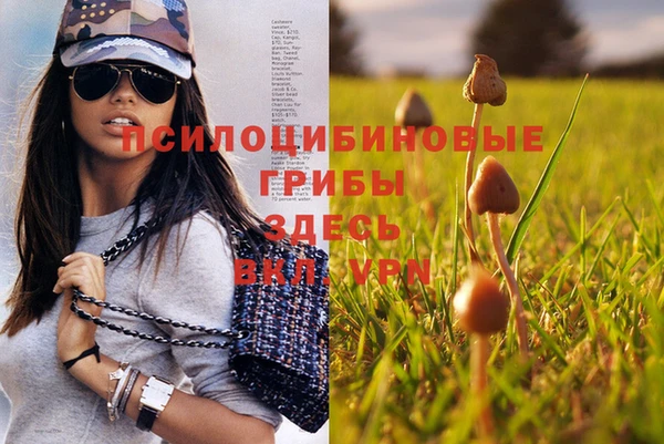 стаф Лиски