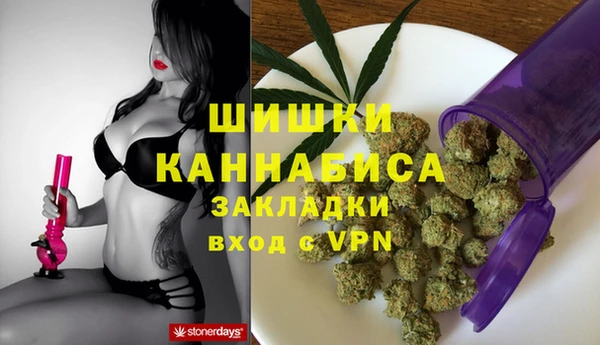 молекула духа Лагань